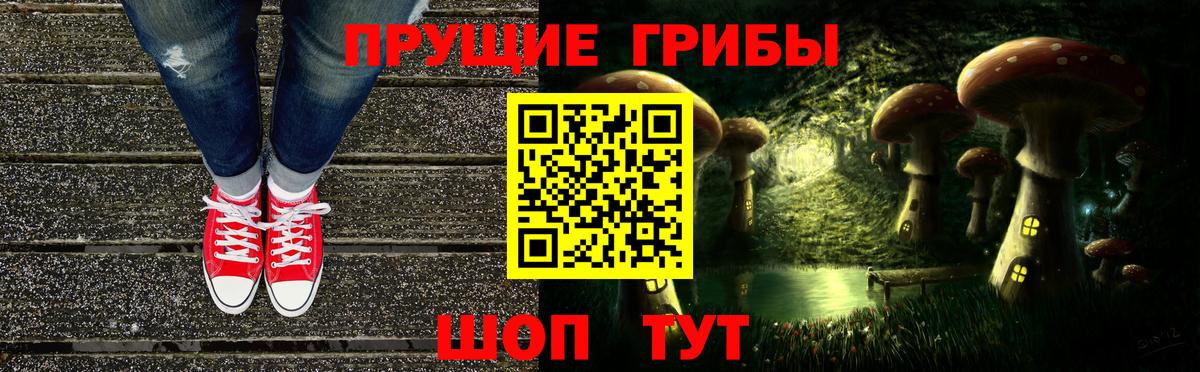 Скопин  Псилоцибиновые грибы ЛСД  где можно купить наркотик  Вход с VPN  Псилоцибиновые грибы мухоморы 