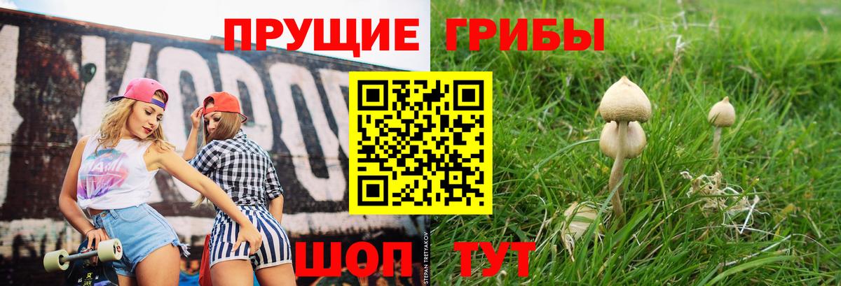 Псилоцибиновые грибы GOLDEN TEACHER Скопин